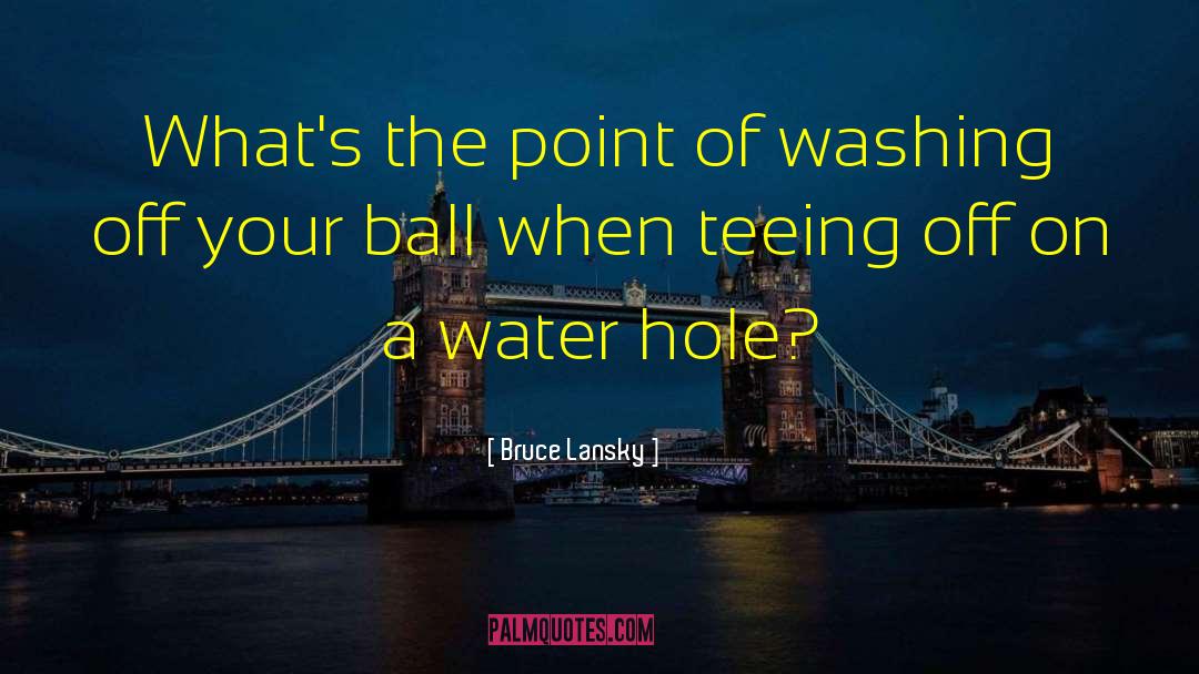 Bruce Lansky Quotes: What's the point of washing