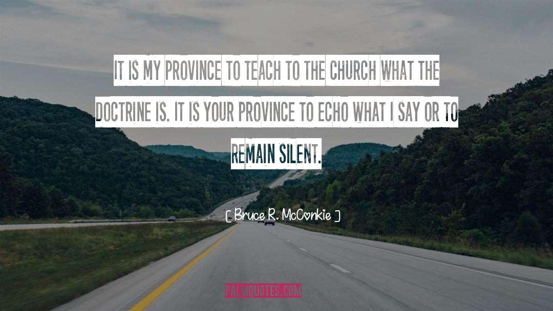 Bruce R. McConkie Quotes: It is my province to