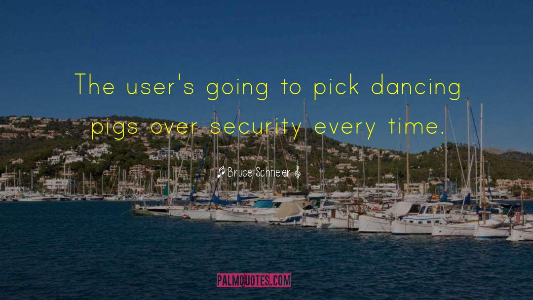 Bruce Schneier Quotes: The user's going to pick
