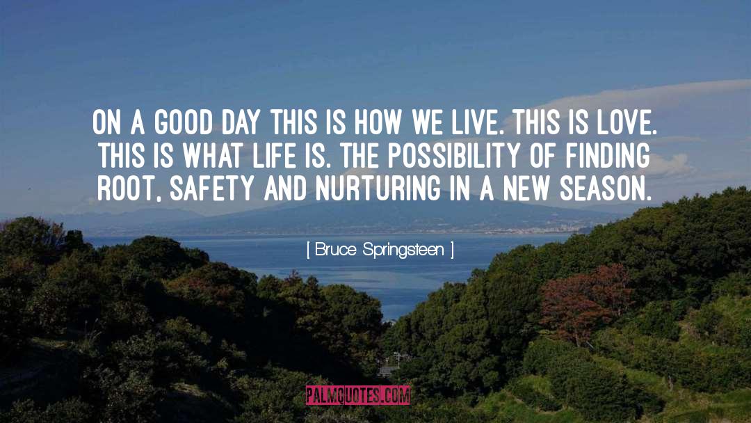 Bruce Springsteen Quotes: On a good day this