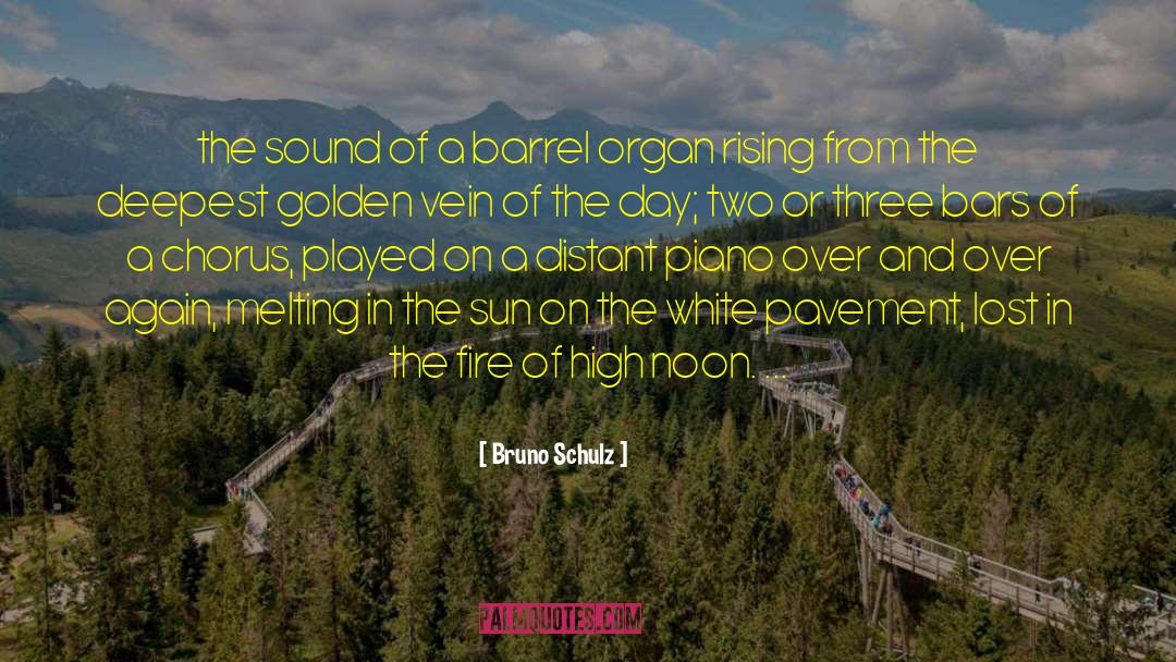Bruno Schulz Quotes: the sound of a barrel