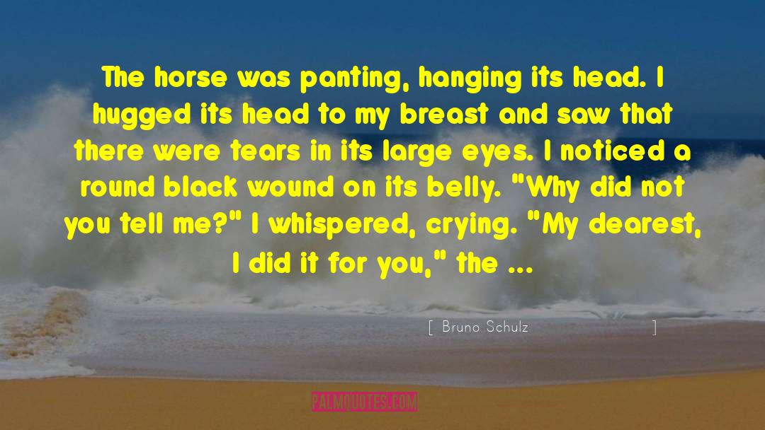 Bruno Schulz Quotes: The horse was panting, hanging