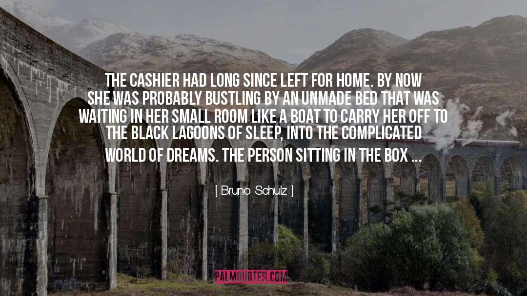 Bruno Schulz Quotes: The cashier had long since