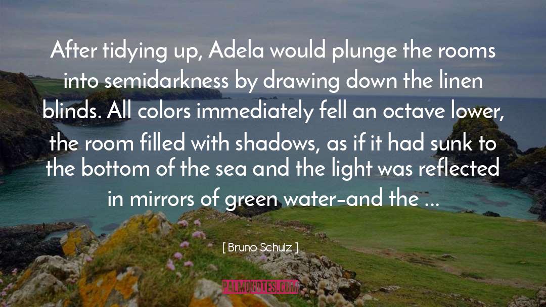 Bruno Schulz Quotes: After tidying up, Adela would
