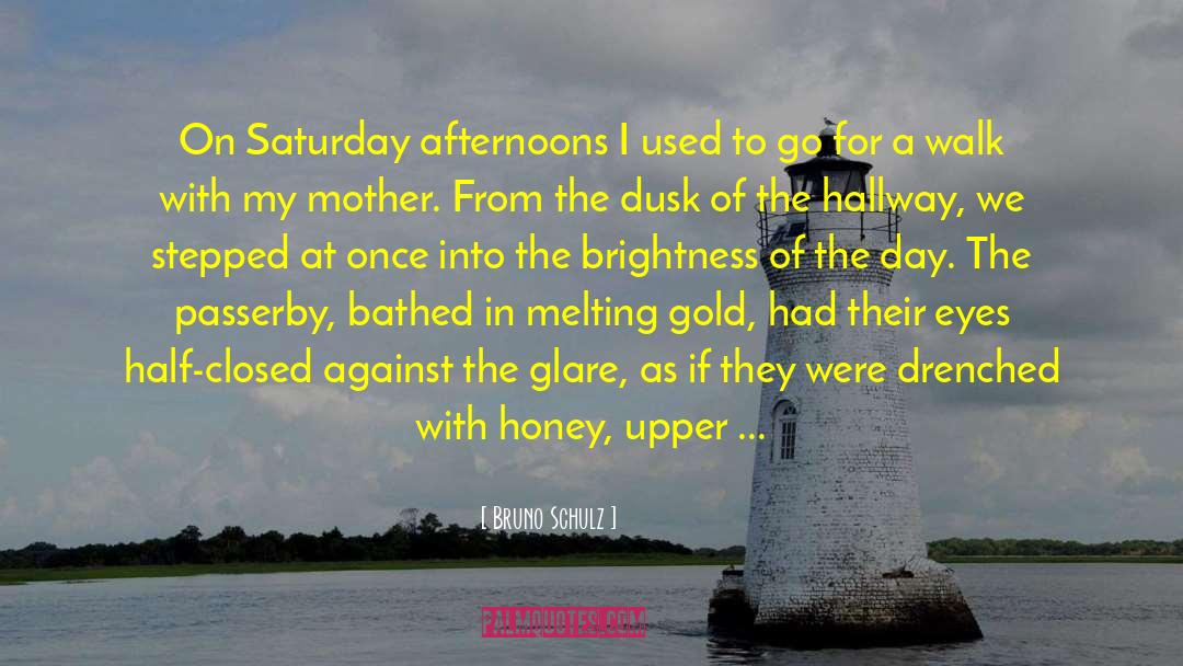 Bruno Schulz Quotes: On Saturday afternoons I used