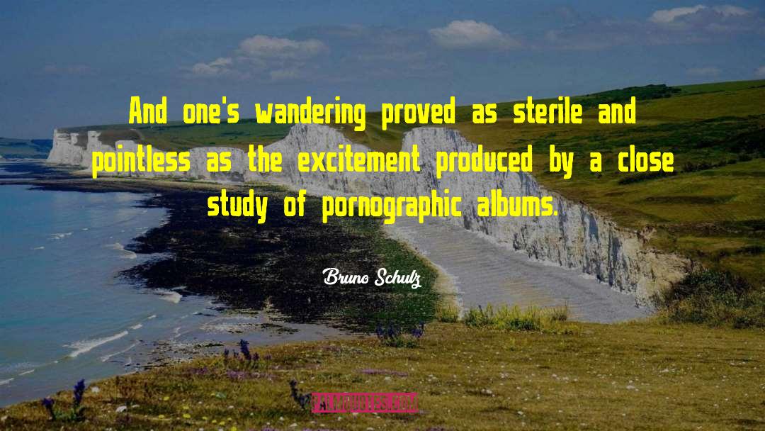 Bruno Schulz Quotes: And one's wandering proved as