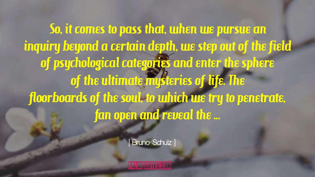 Bruno Schulz Quotes: So, it comes to pass