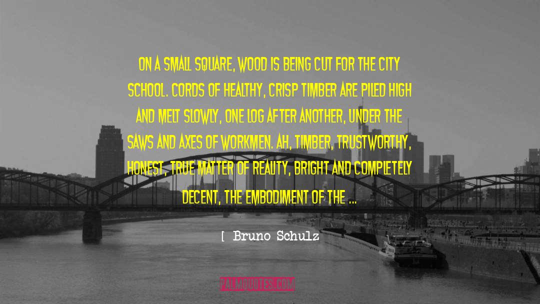 Bruno Schulz Quotes: On a small square, wood