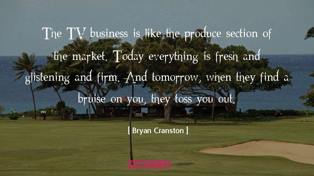Bryan Cranston Quotes: The TV business is like