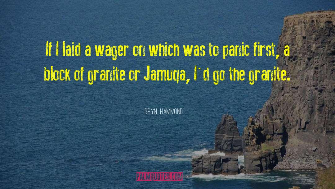 Bryn  Hammond Quotes: If I laid a wager