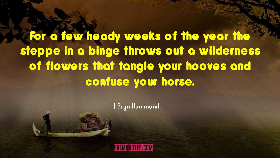 Bryn  Hammond Quotes: For a few heady weeks