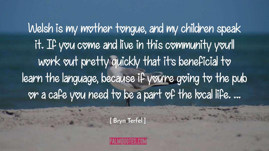 Bryn Terfel Quotes: Welsh is my mother tongue,