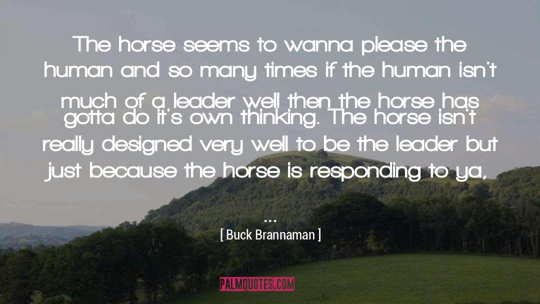 Buck Brannaman Quotes: The horse seems to wanna