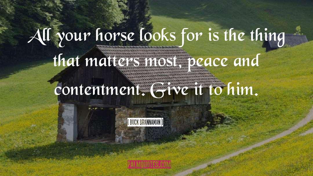 Buck Brannaman Quotes: All your horse looks for