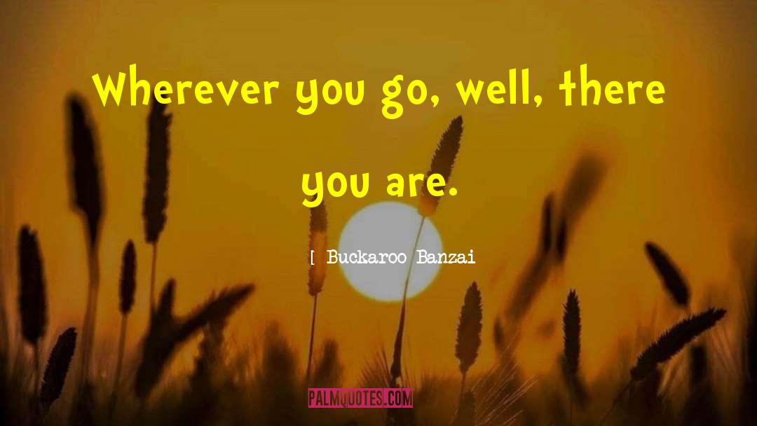 Buckaroo Banzai Quotes: Wherever you go, well, there