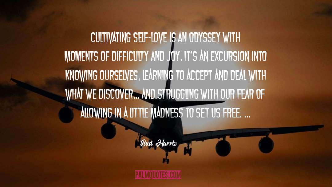 Bud Harris Quotes: Cultivating self-love is an odyssey