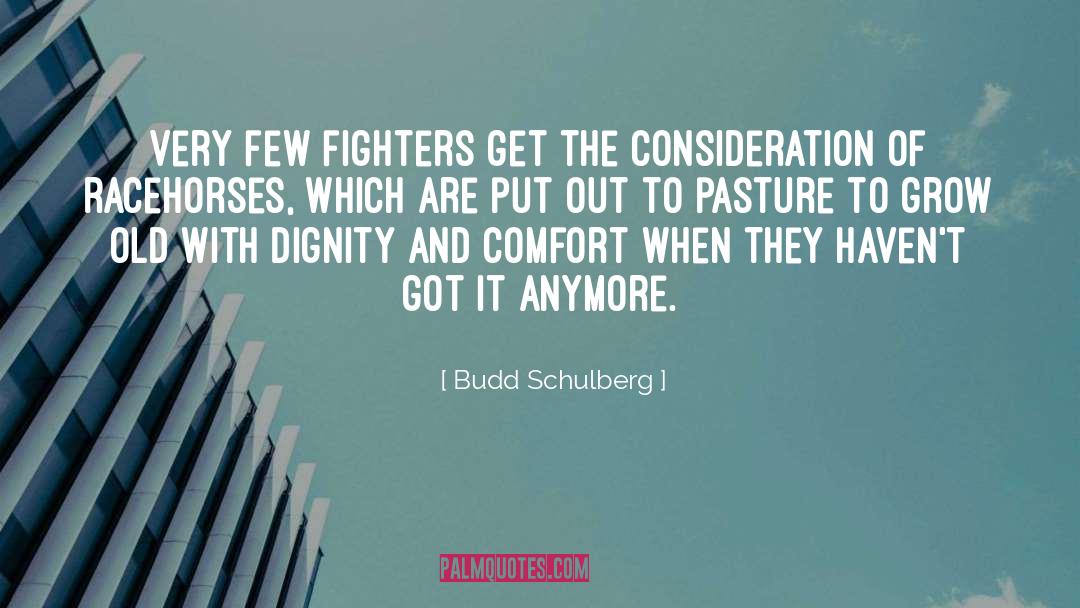 Budd Schulberg Quotes: Very few fighters get the