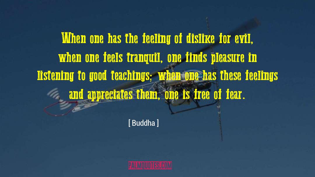 Buddha Quotes: When one has the feeling