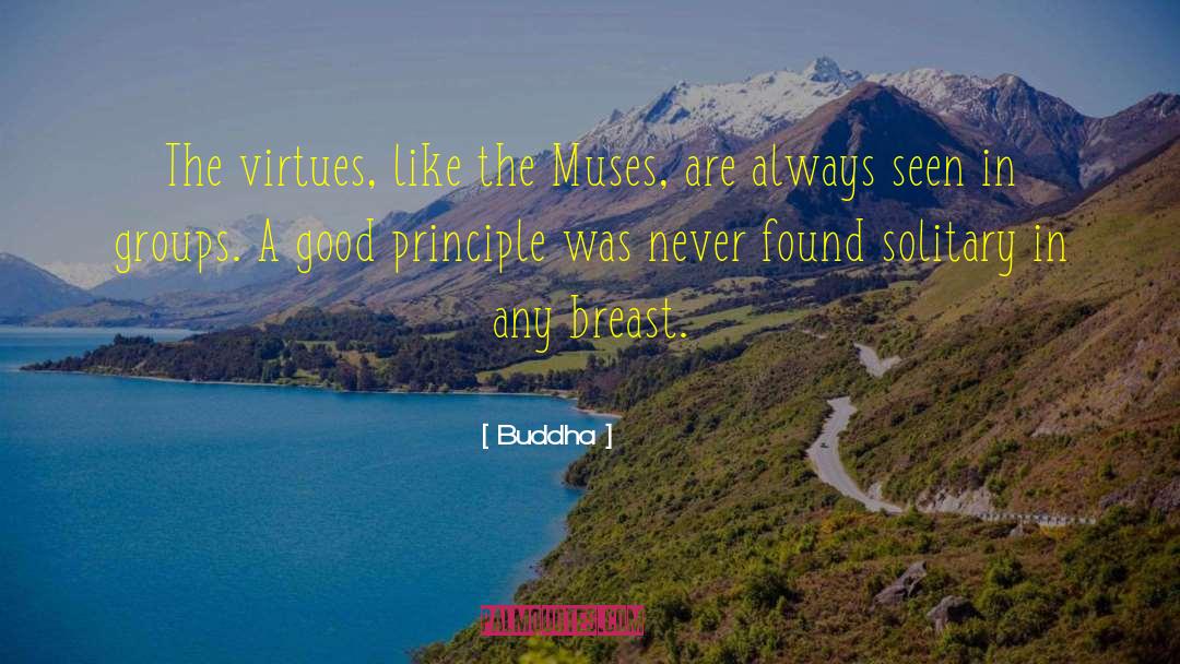 Buddha Quotes: The virtues, like the Muses,