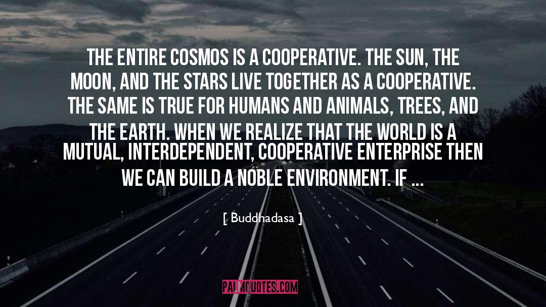 Buddhadasa Quotes: The entire cosmos is a