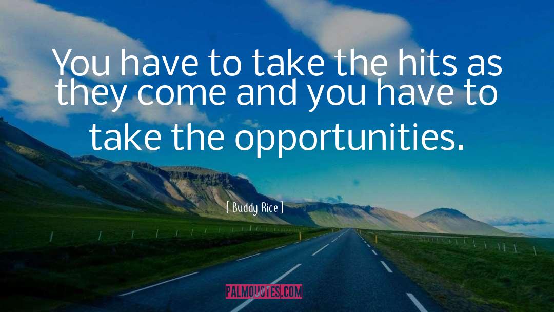 Buddy Rice Quotes: You have to take the