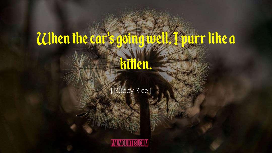 Buddy Rice Quotes: When the car's going well,