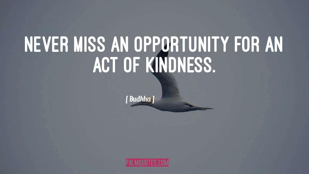 Budhha Quotes: Never miss an opportunity for