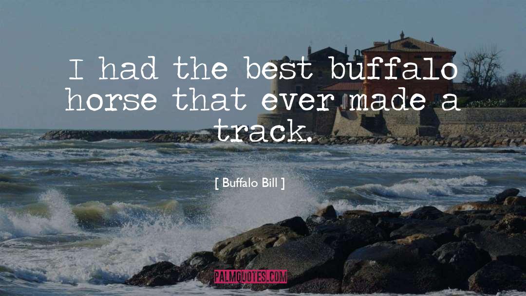 Buffalo Bill Quotes: I had the best buffalo