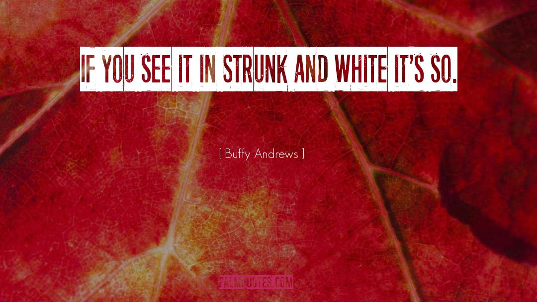 Buffy Andrews Quotes: If you see it in