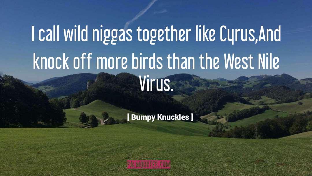 Bumpy Knuckles Quotes: I call wild niggas together