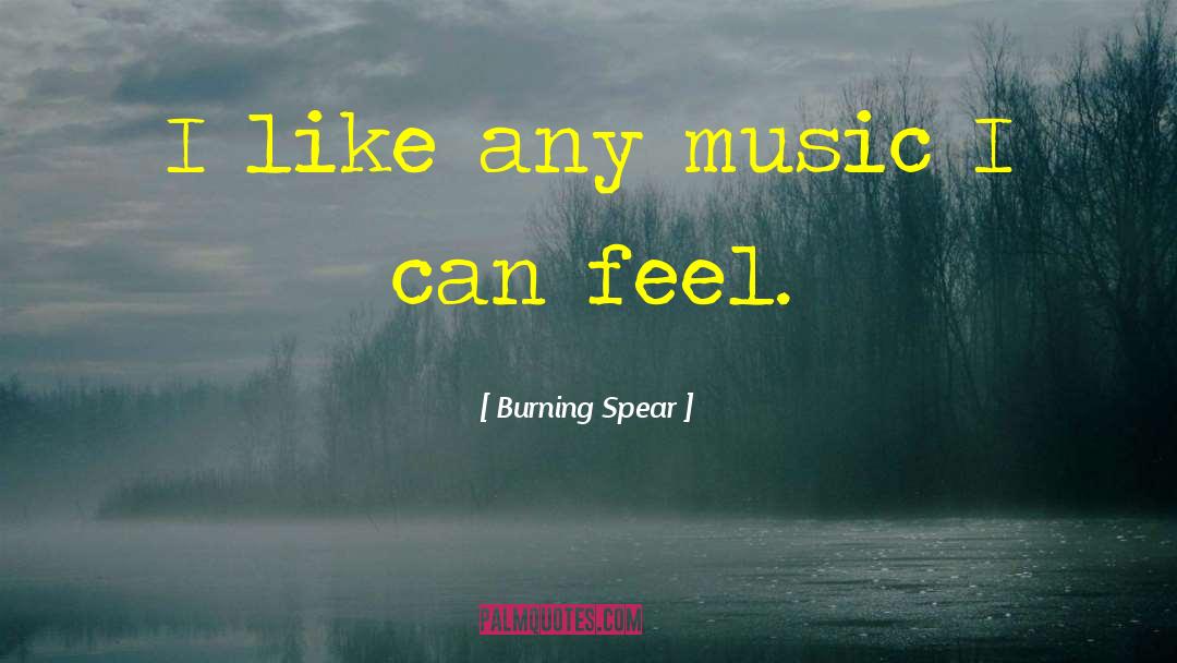 Burning Spear Quotes: I like any music I