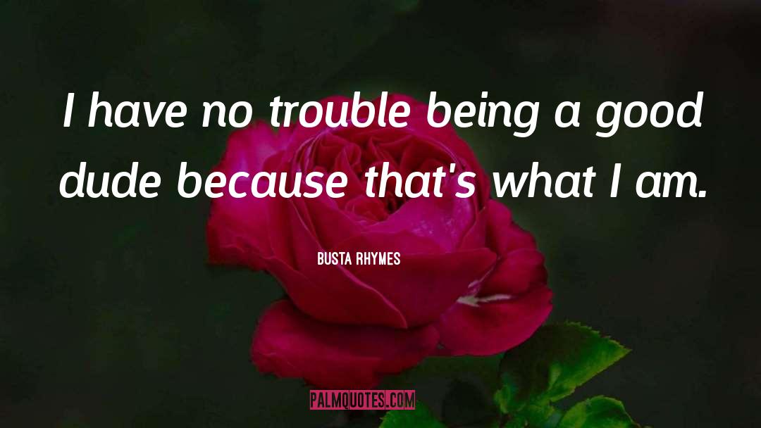 Busta Rhymes Quotes: I have no trouble being