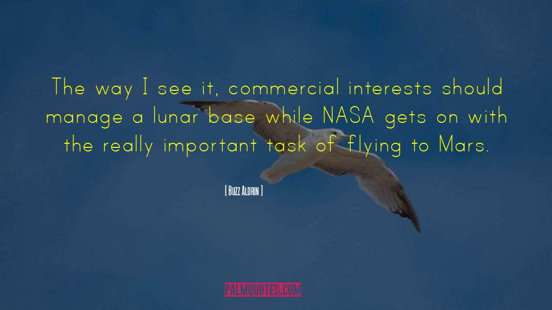 Buzz Aldrin Quotes: The way I see it,