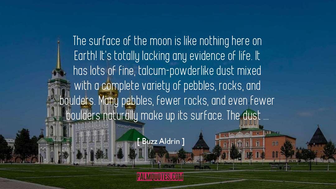 Buzz Aldrin Quotes: The surface of the moon