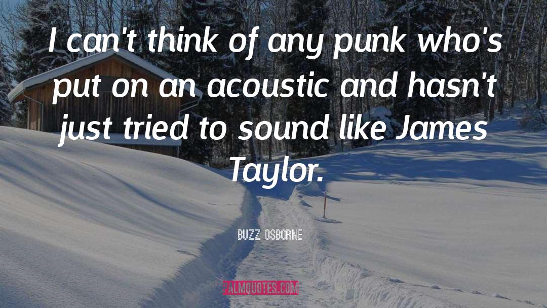 Buzz Osborne Quotes: I can't think of any