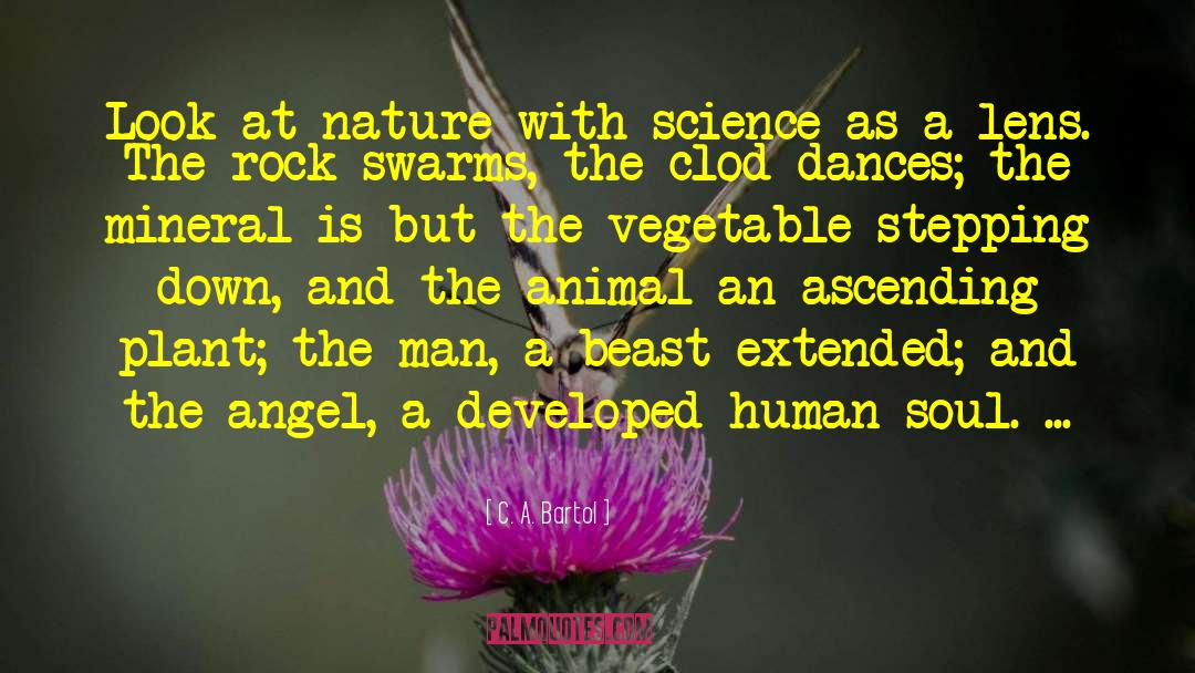 C. A. Bartol Quotes: Look at nature with science