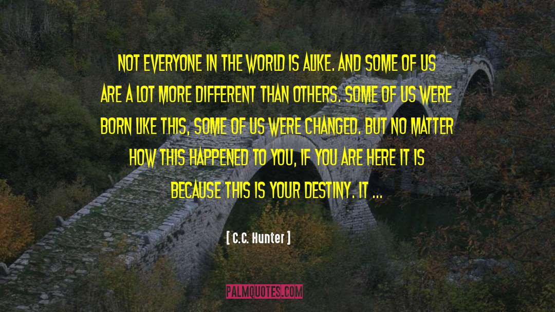 C.C. Hunter Quotes: Not everyone in the world