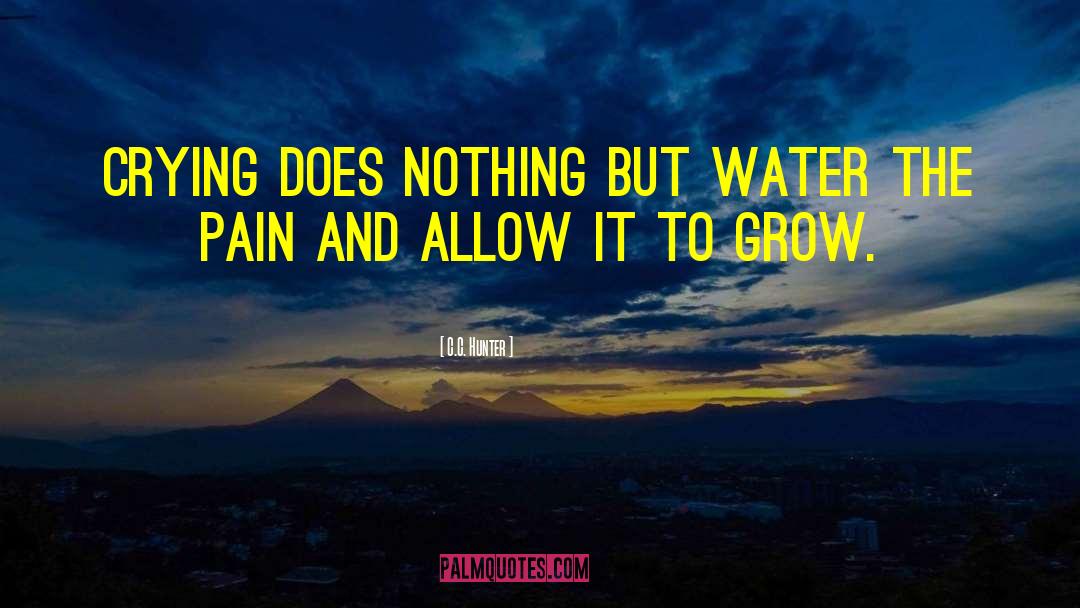 C.C. Hunter Quotes: Crying does nothing but water