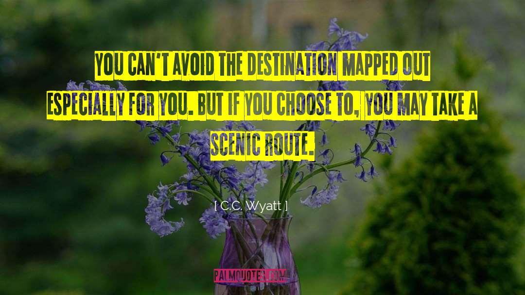 C.C. Wyatt Quotes: You can't avoid the destination