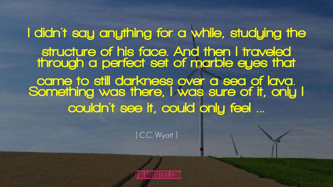 C.C. Wyatt Quotes: I didn't say anything for