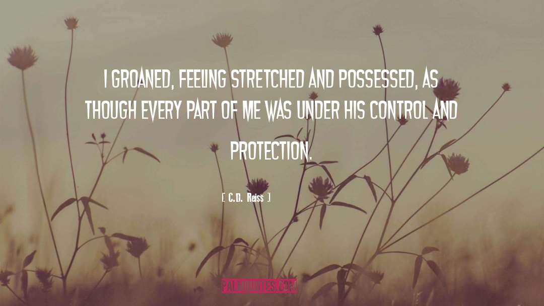 C.D. Reiss Quotes: I groaned, feeling stretched and