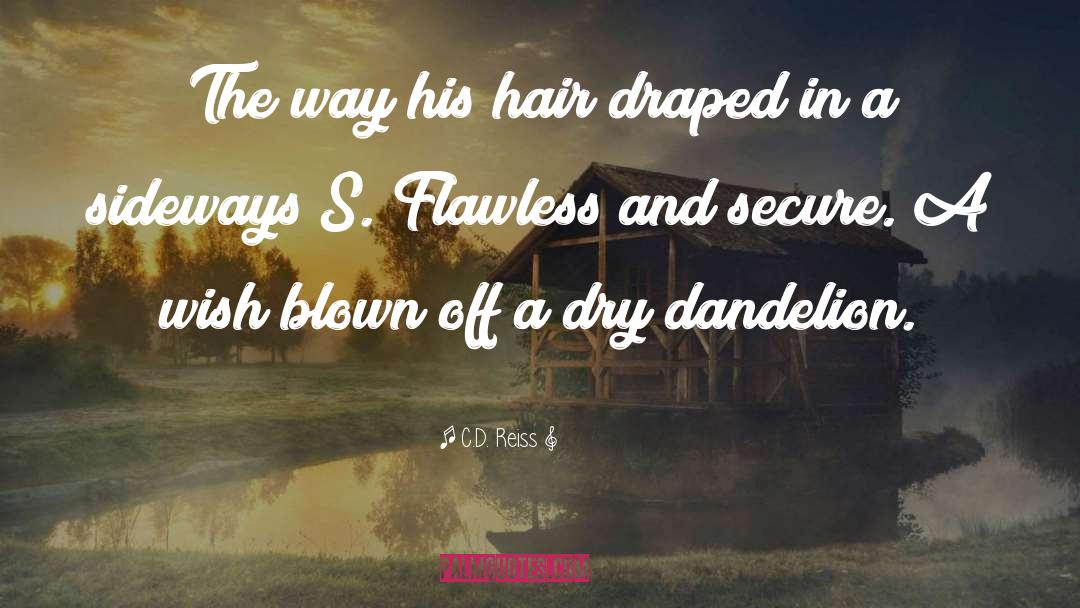 C.D. Reiss Quotes: The way his hair draped