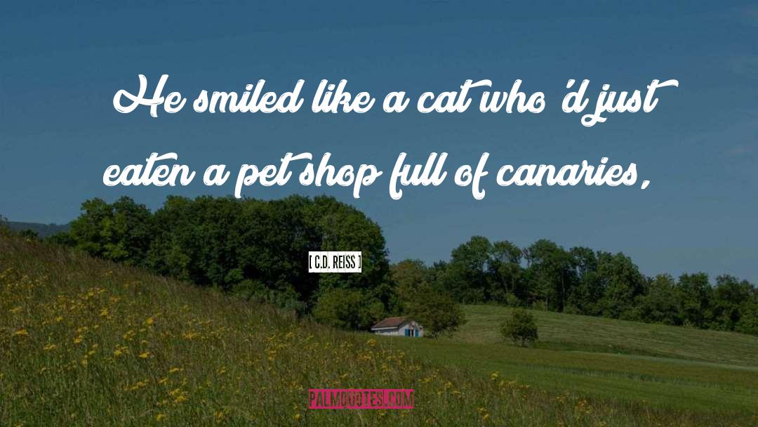 C.D. Reiss Quotes: He smiled like a cat