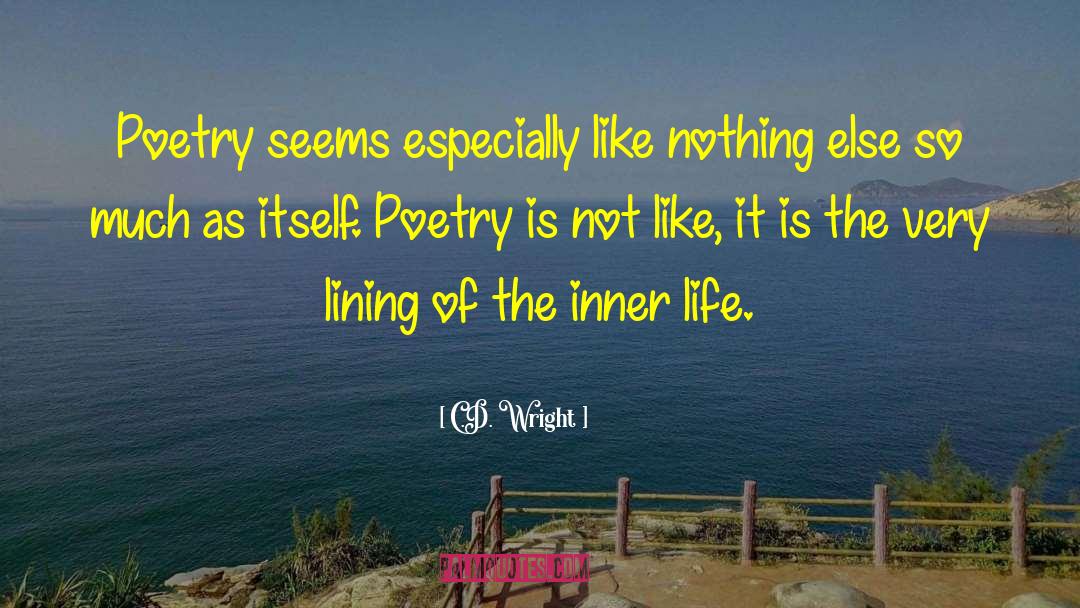 C.D. Wright Quotes: Poetry seems especially like nothing