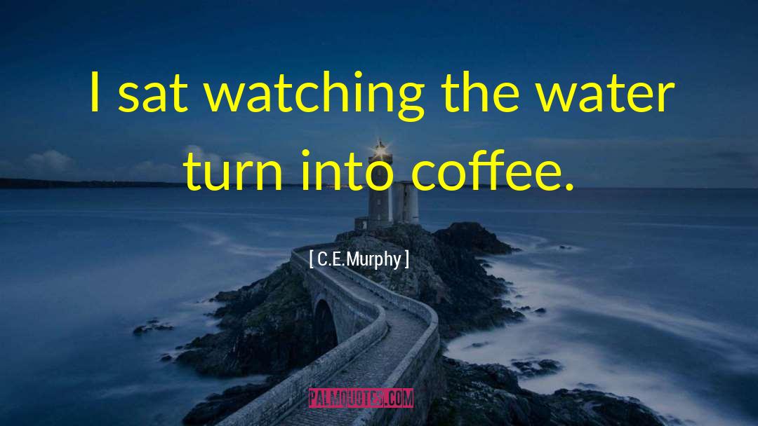 C.E. Murphy Quotes: I sat watching the water
