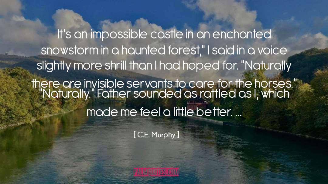 C.E. Murphy Quotes: It's an impossible castle in