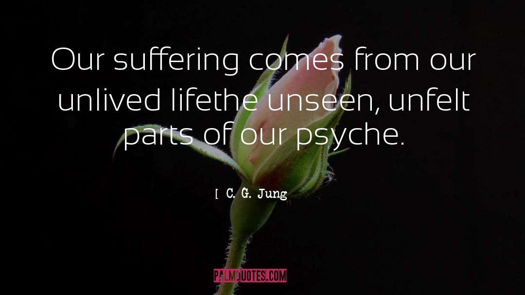 C. G. Jung Quotes: Our suffering comes from our