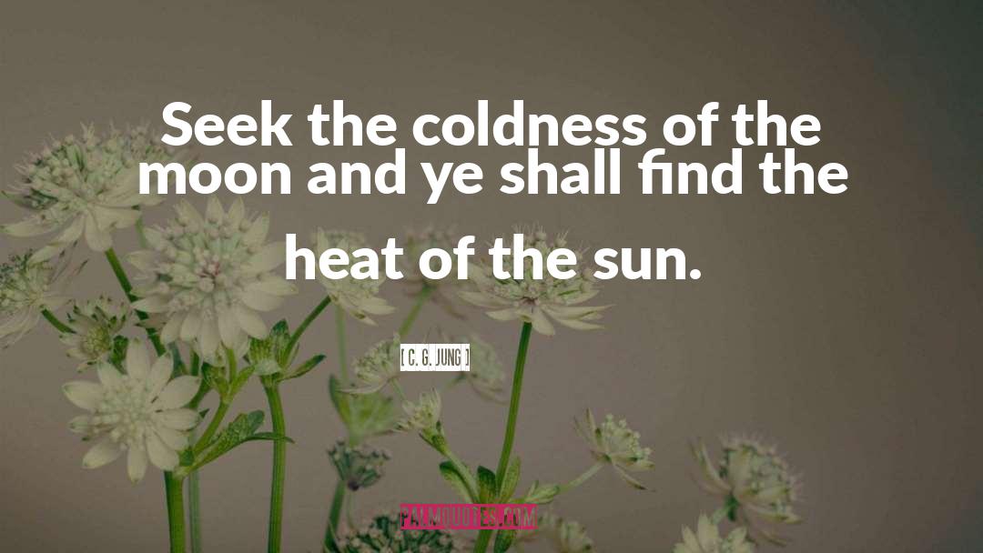 C. G. Jung Quotes: Seek the coldness of the