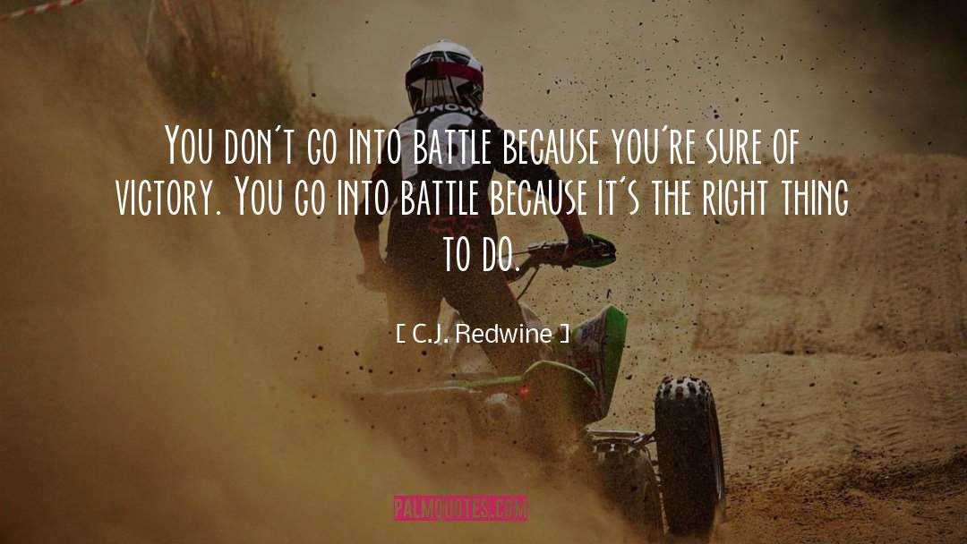C.J. Redwine Quotes: You don't go into battle