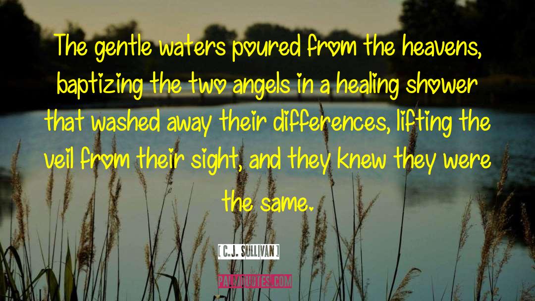C.J. Sullivan Quotes: The gentle waters poured from